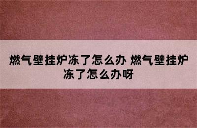 燃气壁挂炉冻了怎么办 燃气壁挂炉冻了怎么办呀